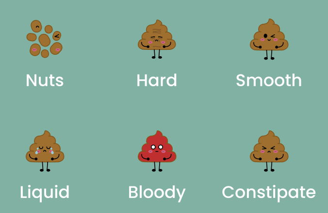 螢幕截圖 2025-07-28 下午10.43.21 1